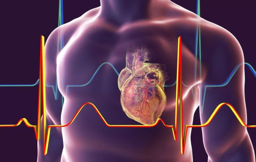 新澳免费资料大全,科学分析严谨解释_GGM50.923旅行者版