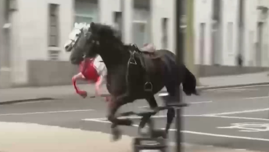 2024香港开奖结果,动态解读分析_WNO50.589高端体验版