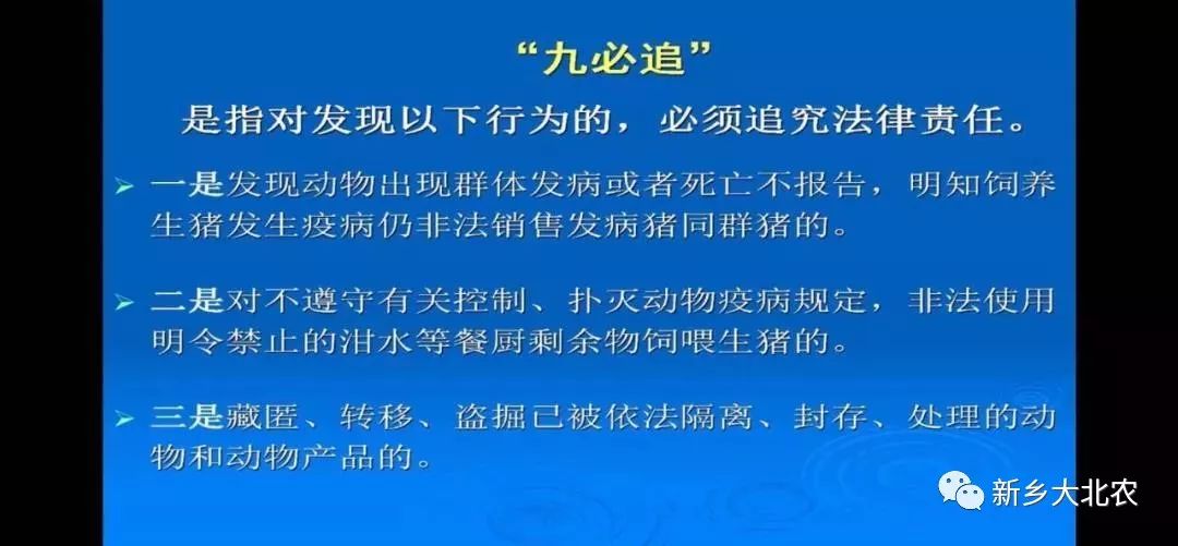 三肖三期必出期公开,决策支持方案_OKZ50.831瞬间版