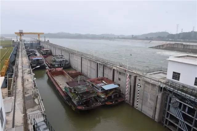 王中王资料大全马经软件,铁路公路水运_LLP50.861随机版