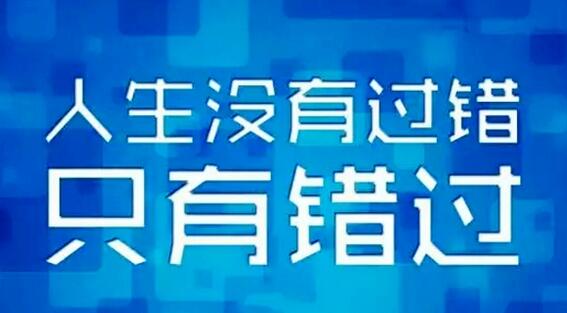 2024新澳今晚资料八佰力,新技术推动方略_SYH50.733无线版