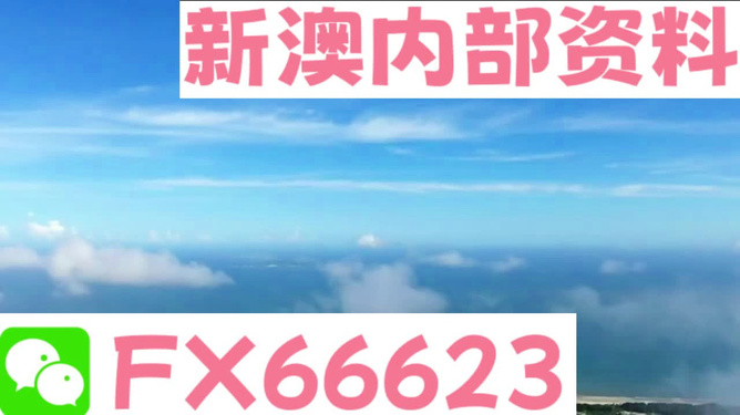 2024新澳今晚资料八佰力,新技术推动方略_SYH50.733无线版