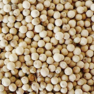 海南白胡椒最新价格及其背后的温情故事