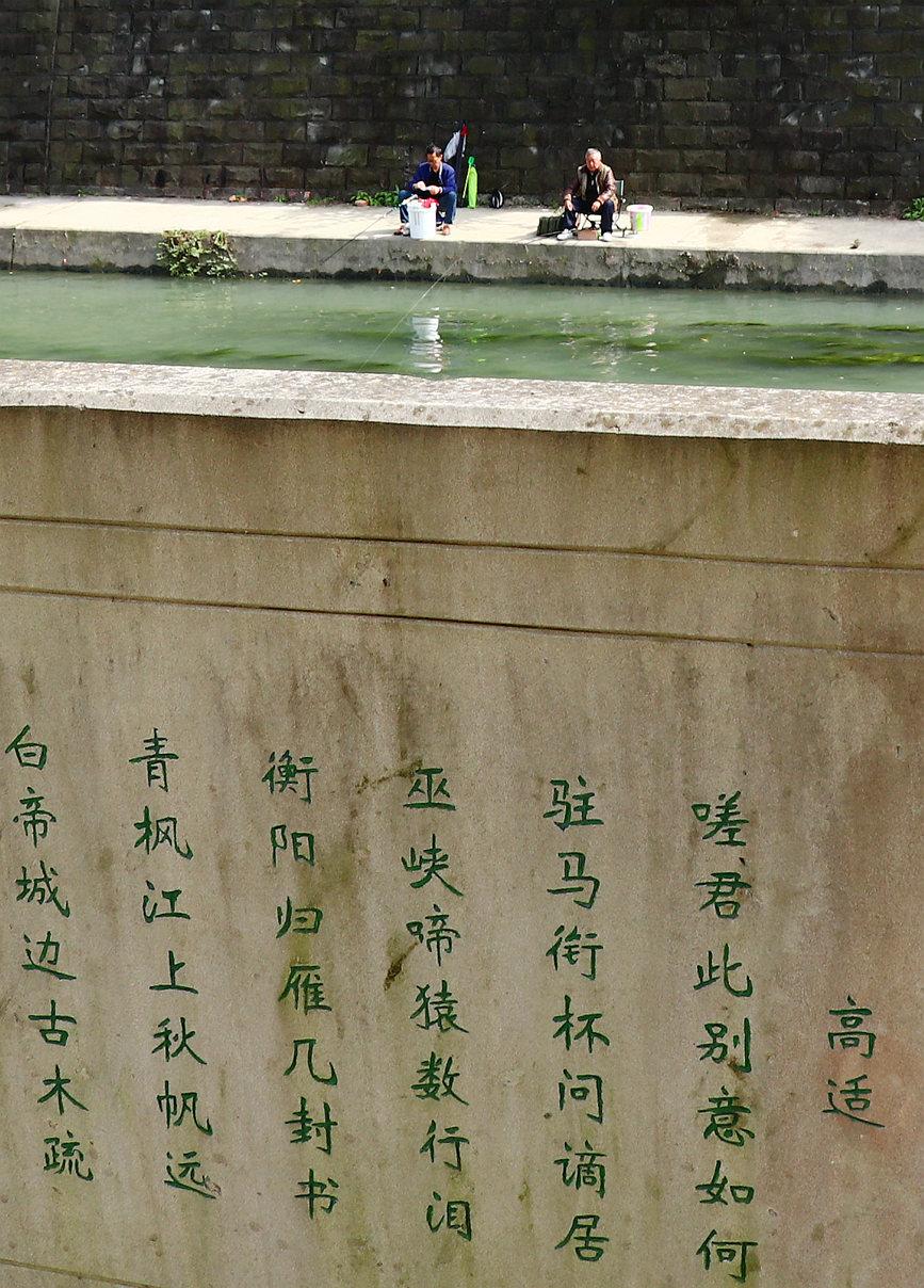 江油最新钓鱼地点探索与体验分享