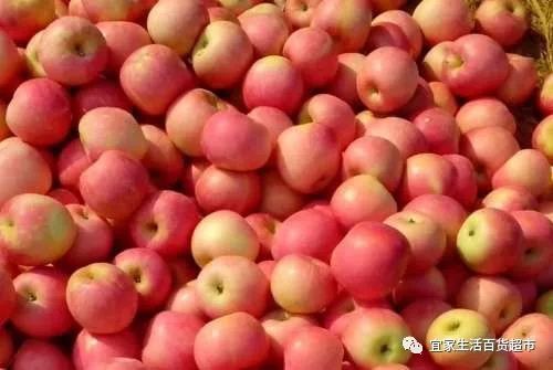 山西富士苹果最新价格指南,了解最新价格信息