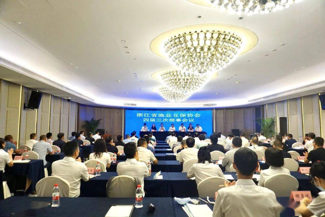 互助县领导最新调整,小巷中的惊喜与探索之旅领导风采展示