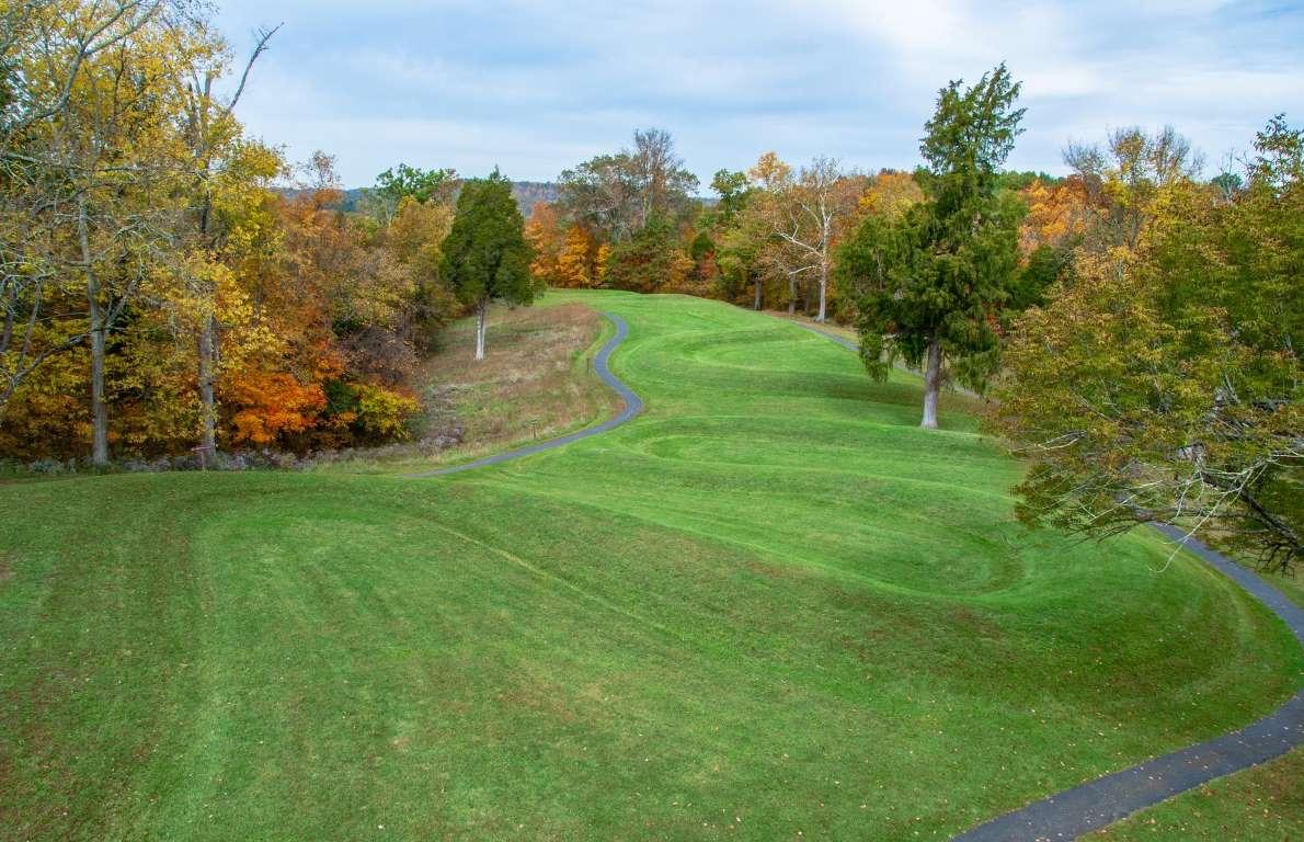 北科5最新公告发布,观点论述全解析