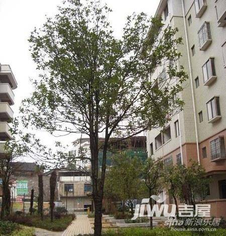 临武最新房价走势,时代背景下的楼市变迁与房价动态分析