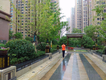 光谷平安春天的最新动态,小巷特色小店的独特魅力与惊喜