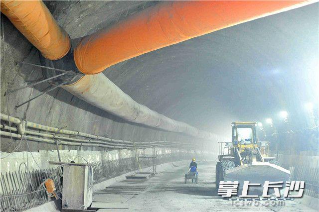 桃花岭隧道最新进展更新