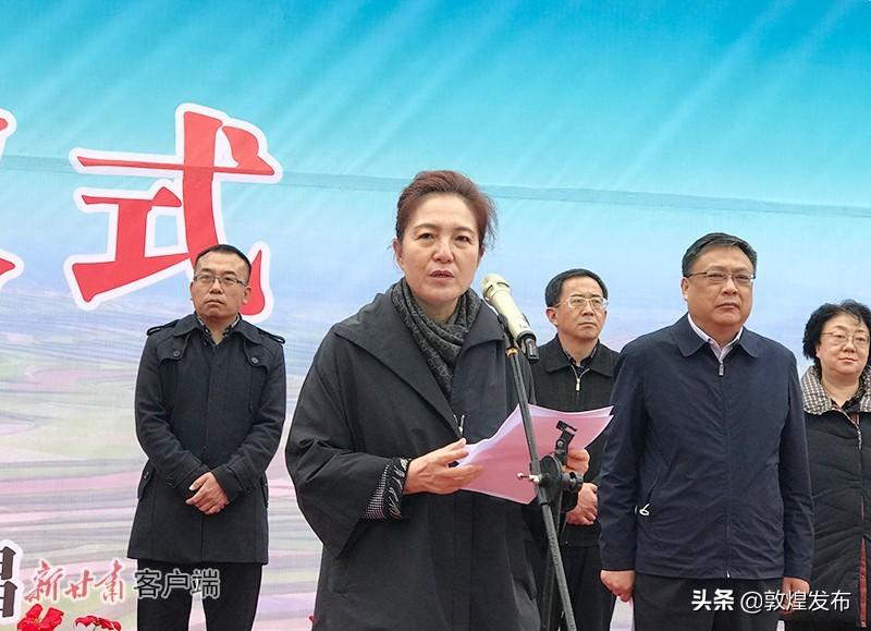 甘肃陈青最新公示消息发布