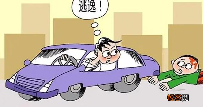 不锈钢螺旋网带 第403页