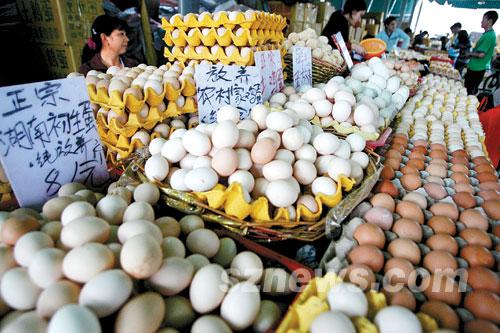 上海鸡蛋今日最新报价,科技引领鸡蛋市场新纪元