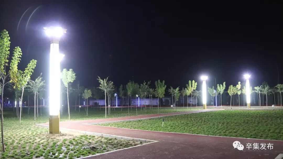 辛集奥森最新报价及市场趋势解析,选购建议与深度剖析