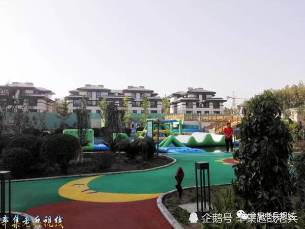 辛集奥森最新报价及市场趋势解析,选购建议与深度剖析