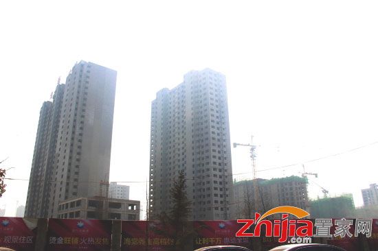 邯郸海棠湾最新动态揭秘,温馨日常故事一瞥