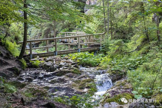 时尚焦点解读,最新国模沟沟潮流与科普知识分享