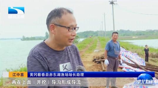 咸宁最新楼盘2024,家的故事与友情的温馨居所