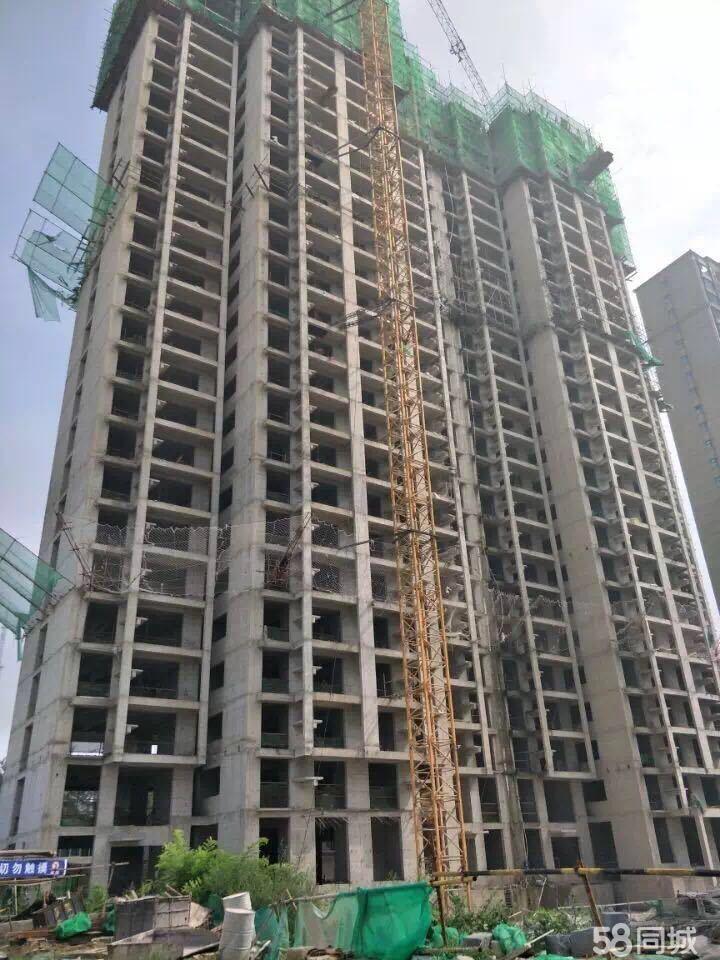 安国凤凰城最新动态揭秘,小巷深处的独特风情