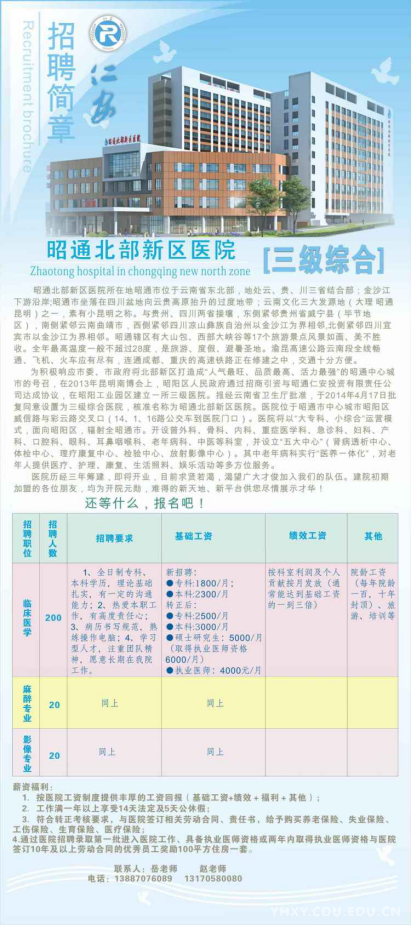 昭通医药最新招聘信息更新