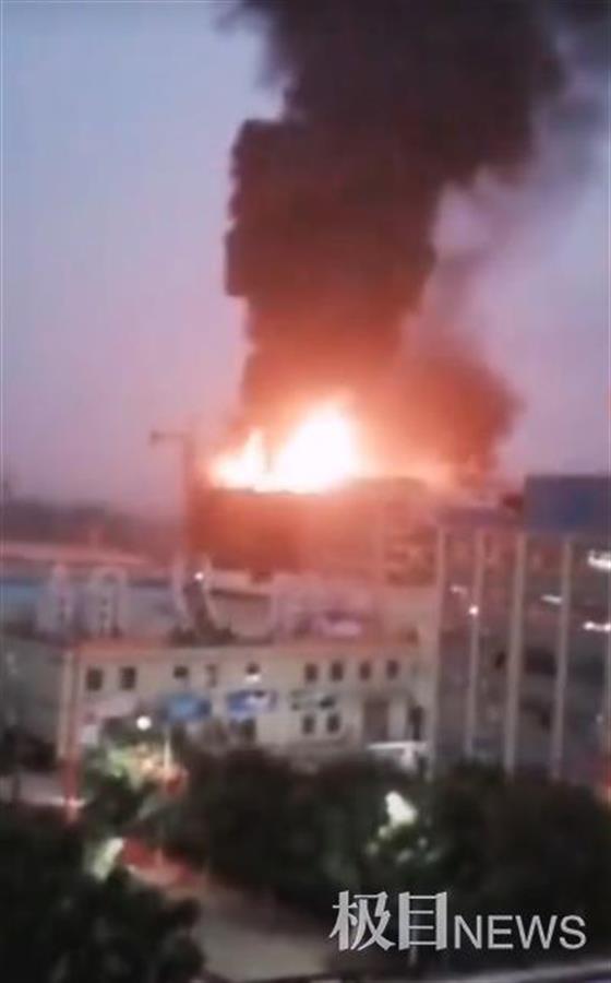 麻涌最新新闻速递,新鲜资讯一网打尽!