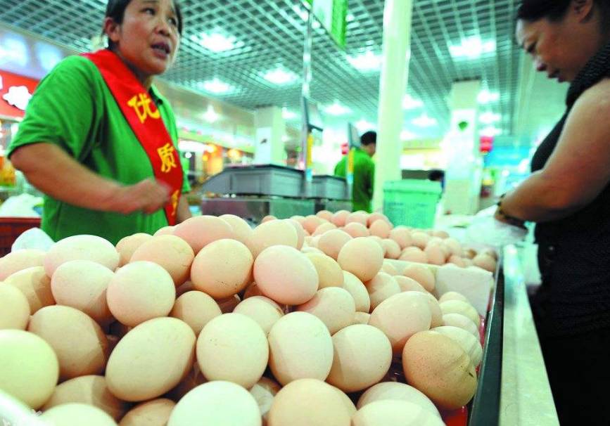 不锈钢链板 第443页