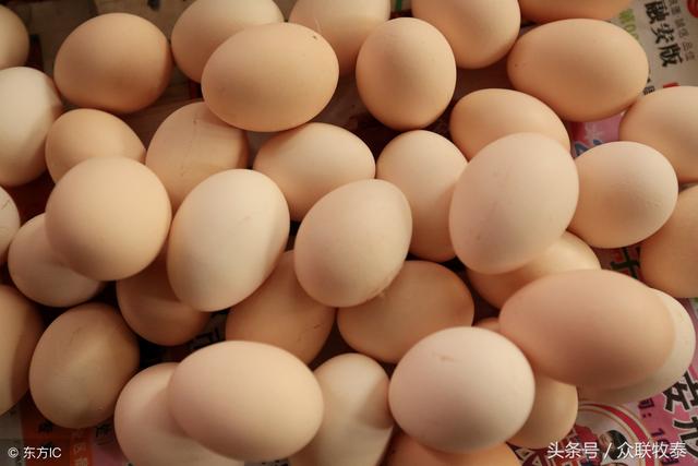 全国鸡蛋每日最新价格变化,学习成就之路的自信源泉