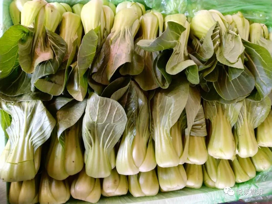 嵩明最新干部动态更新,领导层人事变迁及最新任命