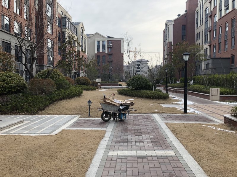 日照莱顿小镇最新报价,日照莱顿小镇最新报价🏠✨