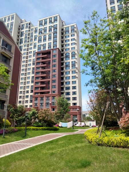 日照莱顿小镇最新报价,日照莱顿小镇最新报价🏠✨