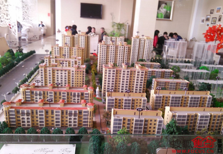 通许枫林湾最新动态更新,最新进展与资讯汇总