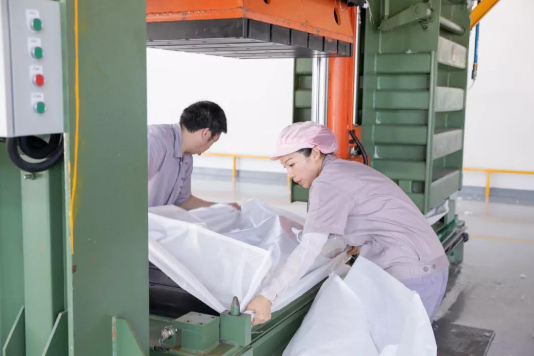 锦纶短纤最新报价及市场走势与影响因素深度解析