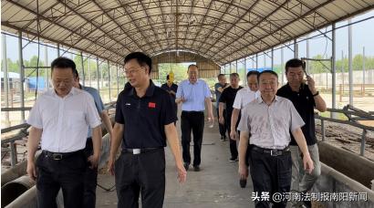 新野县城区最新规划图揭秘,蓝图下的温馨城事