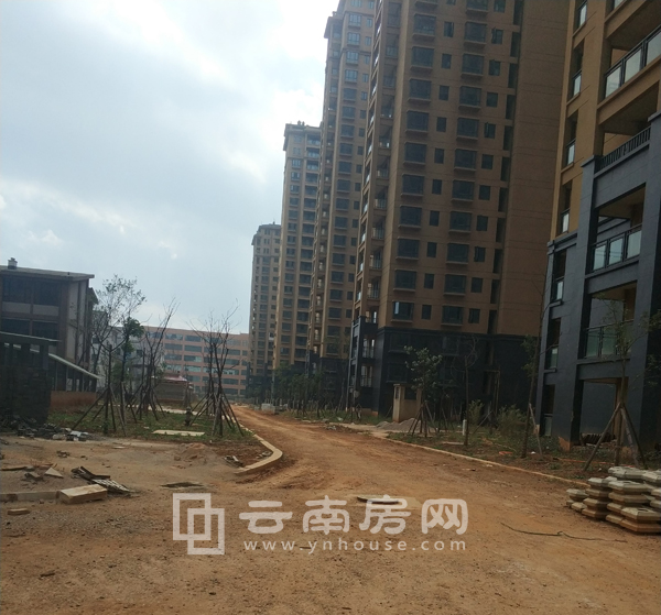 昆明优活城最新动态更新