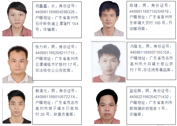 茂名通缉犯最新动态,日常趣事揭秘