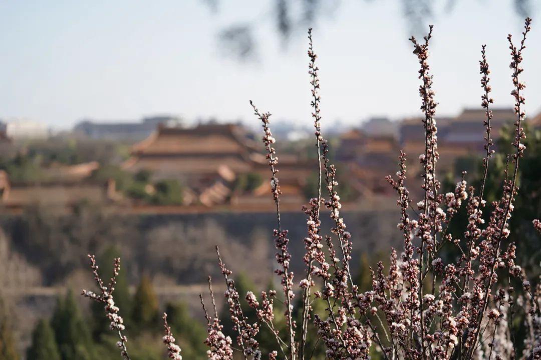 天天来战2最新消息,天天来战2最新消息,游戏进阶攻略与技能提升指南