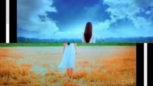 顾蔷薇秦斯爵最新章节，自然美景之旅，探寻内心平静之道