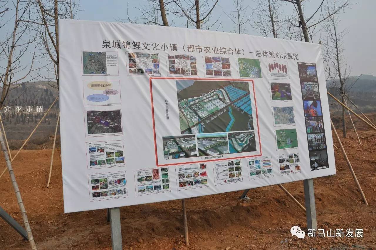 长清马山规划最新动态，自然美景探索之旅启程