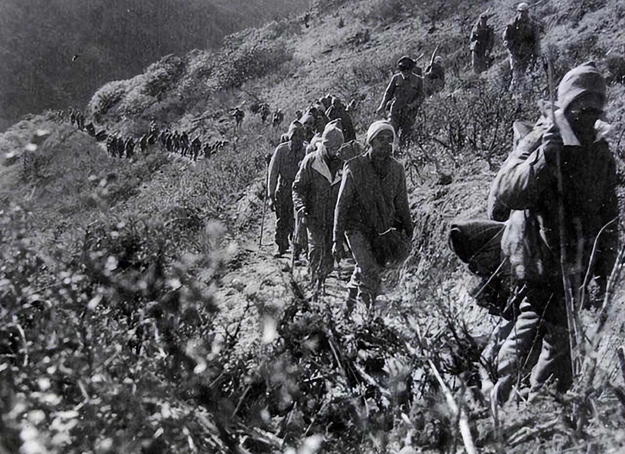 老兵王琪的最新消息更新,今日动态揭秘