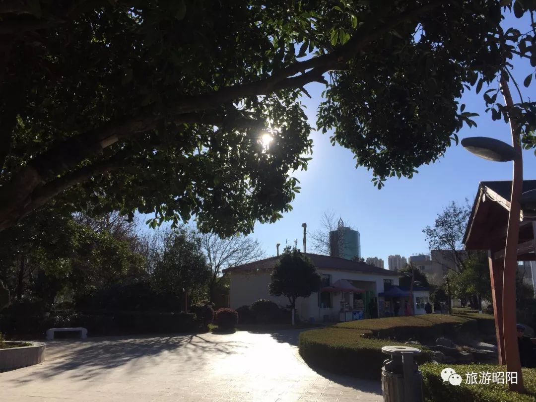 省耕公园建设最新进展实录