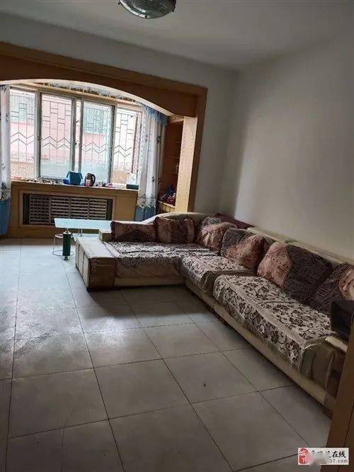 苍山二手房最新概览,全面解读最新房源信息