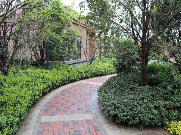 新郑龙湖万科最新动态大揭秘