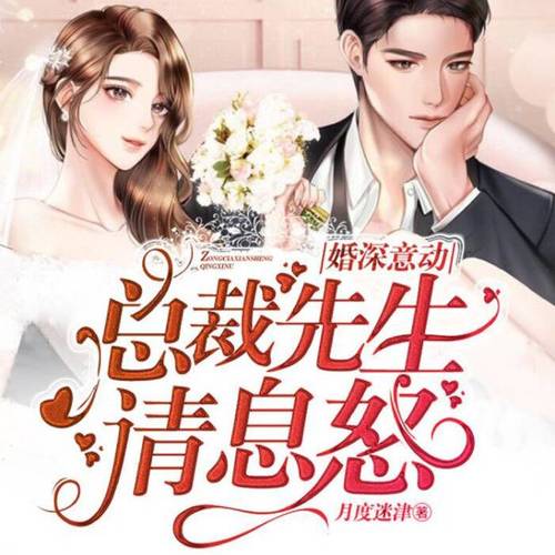 陆靖深苏荞最新章节,小巷美食天堂的秘密