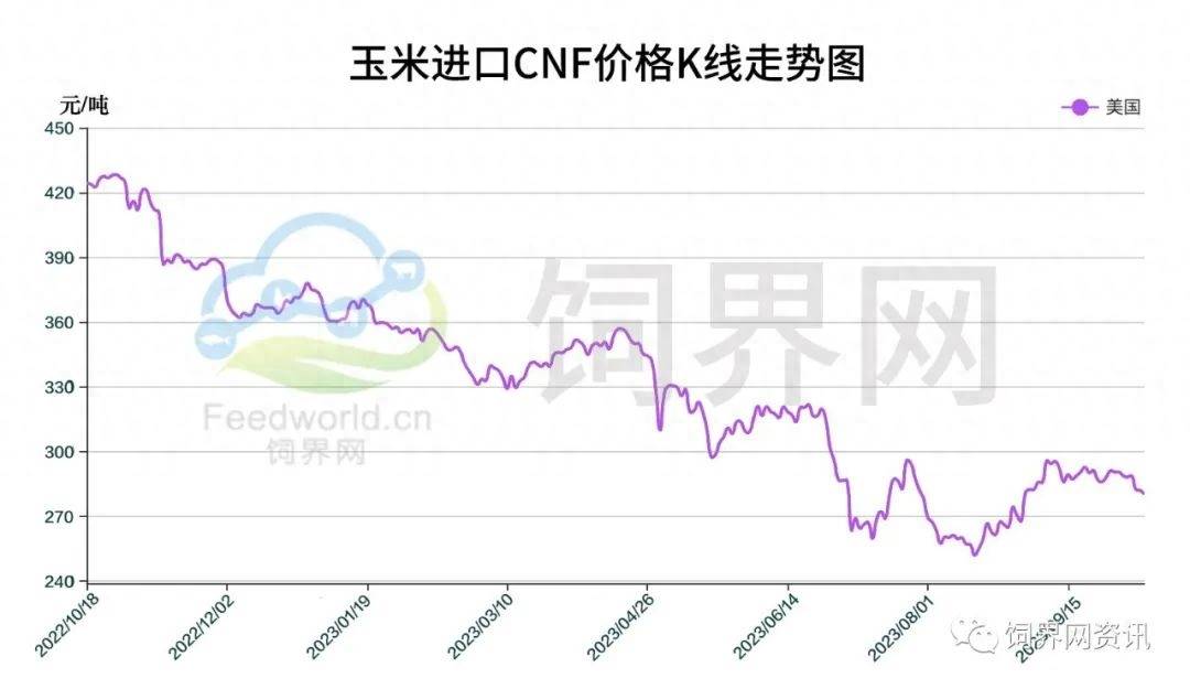 最新美国玉米价格概览