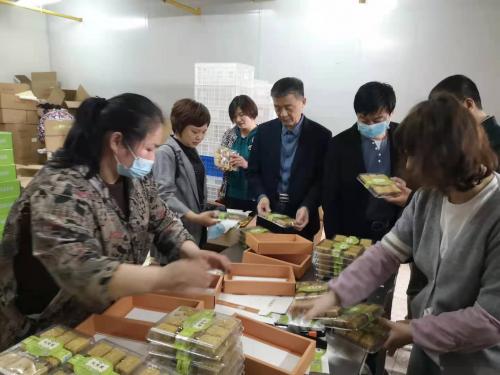 大武汉城市圈最新动态与观点论述