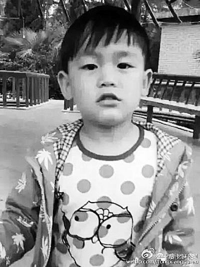 王明涵妈妈踏上自然之旅,探寻内心宁静与自然的魔法之道