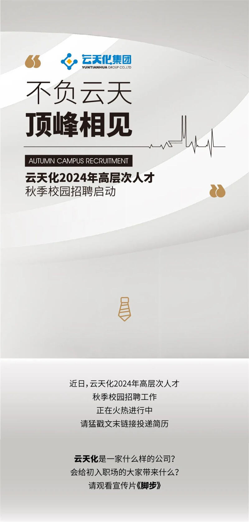 云天化招聘网最新招聘信息及步骤指南概览