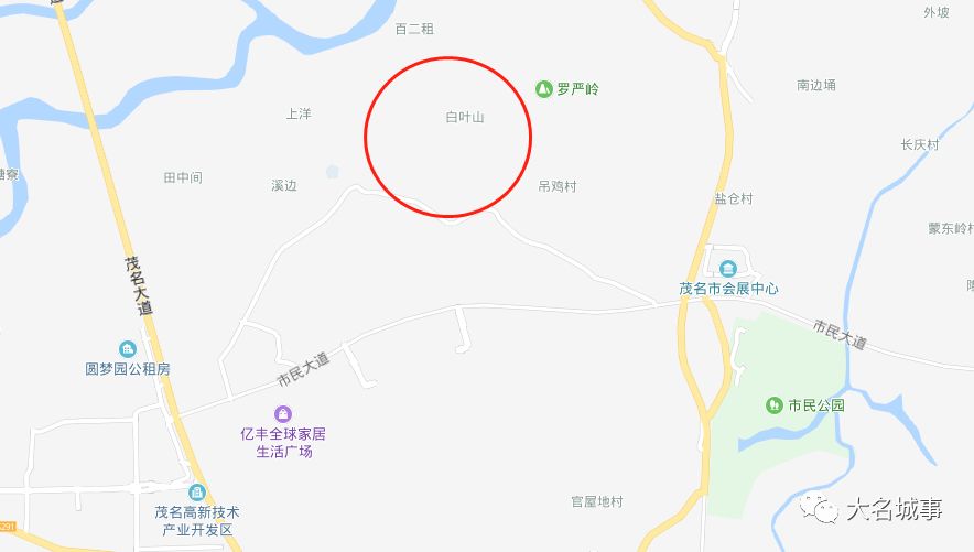 电白区冯许珍最新动态曝光