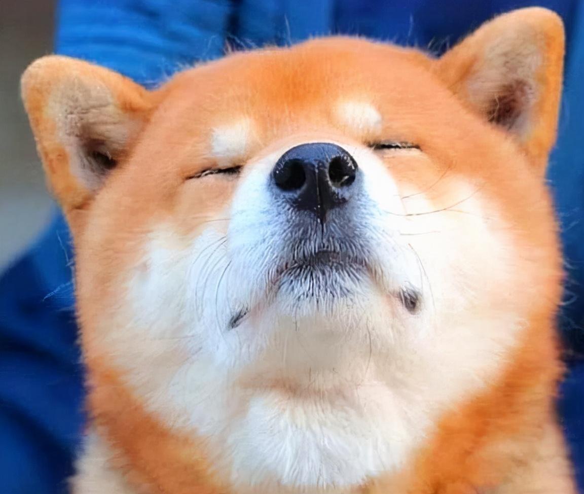 江山市驾驶员最新招聘,启程新征程,驾驭未来之路