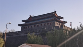 汾湖芦墟最新出租房,家的温馨与友情邂逅的奇遇地